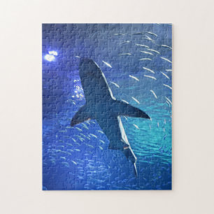 Puzzle de requin