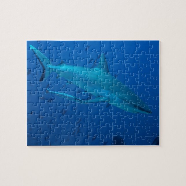Puzzle de requin sous-marin photographié (Horizontal)
