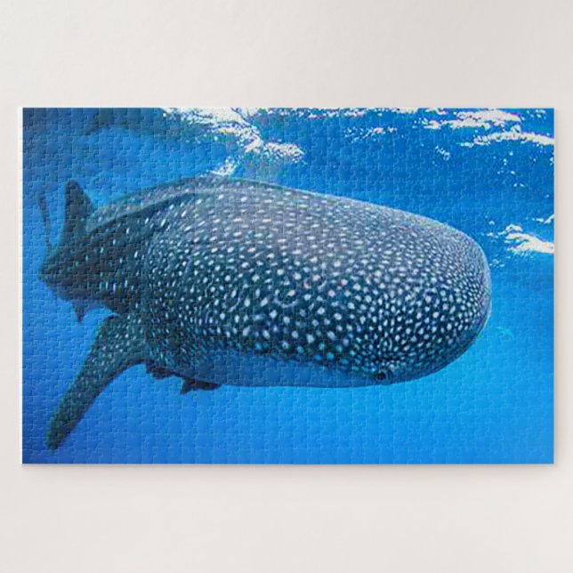 Puzzle de Requins Baleines (Horizontal)