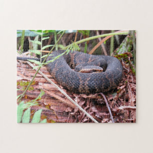 Puzzle de serpent de Cottonmouth