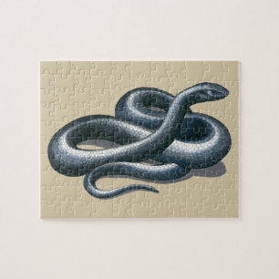 Puzzle de serpent d'Indigo Est