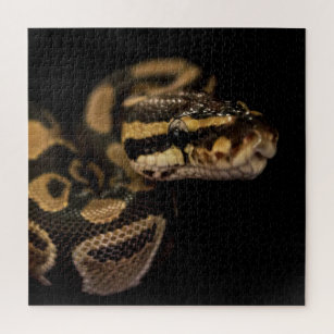 Puzzle Casse-tête Le zoo – Serpent à Lunettes