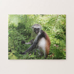 Puzzle de singe