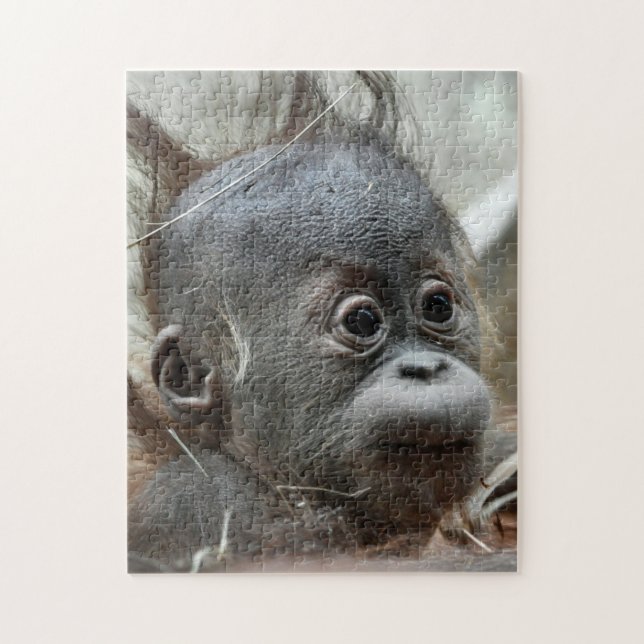 Puzzle de singe de bébé (Vertical)