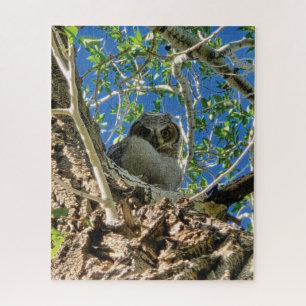 Puzzle de surveillance de vous