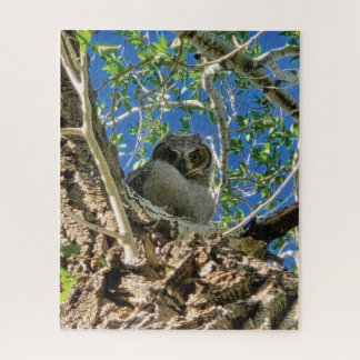 Puzzle de surveillance de vous