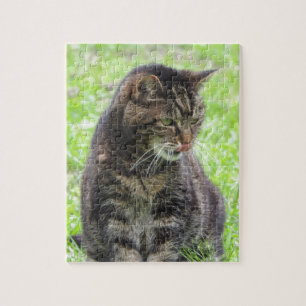 Puzzle de Tabby Cat Jigsaw