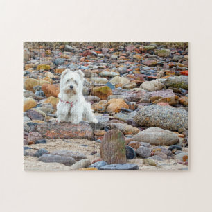 Puzzle de Terrier blanc de montagne occidentale