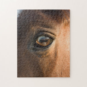 Puzzle de tête des chevaux/puzzle de jigsaw