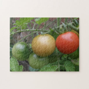 Puzzle de tomates de feux de circulation