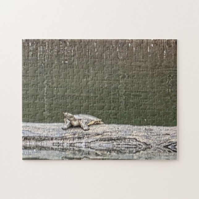 Puzzle de Tortue de Étang (Horizontal)