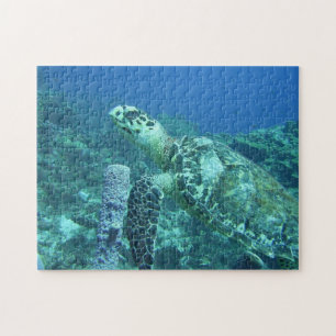 Puzzle de tortue de mer