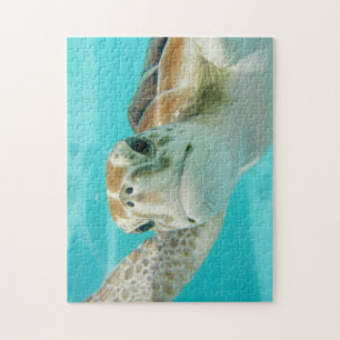 Puzzle de tortue marine