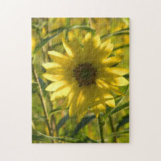 Puzzle de tournesol