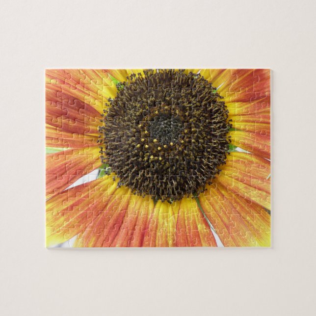 Puzzle de tournesol orange (Horizontal)