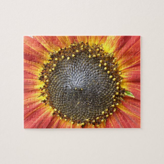 Puzzle de tournesol rouge et jaune (Horizontal)