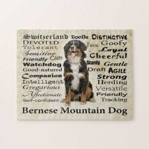 Puzzle de traits de Berner