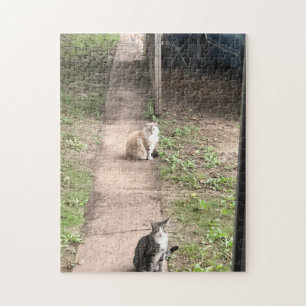 Puzzle de trois chats