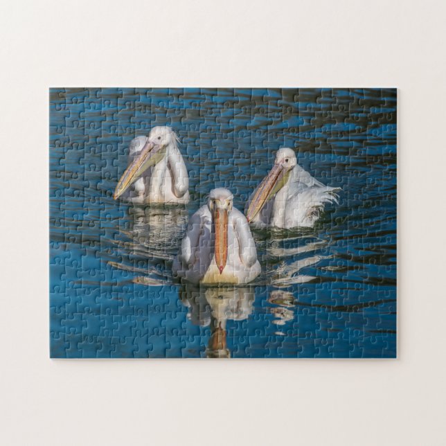Puzzle de trois pélicans (Horizontal)