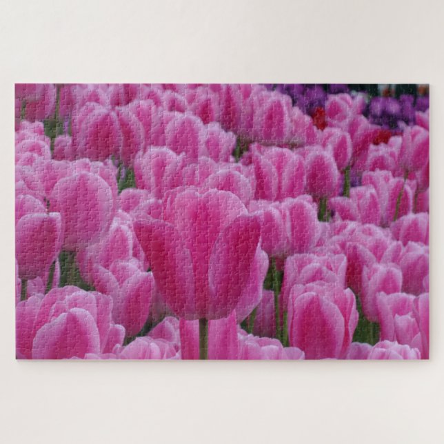 Puzzle de tulipes roses (Horizontal)