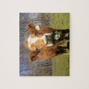 Puzzle de vache