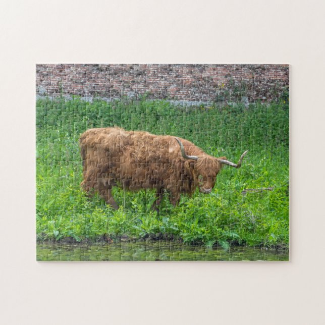 Puzzle de vache Highland (Horizontal)