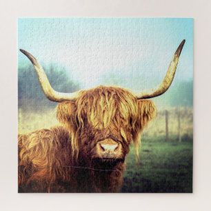 Puzzle de vaches à longue corne