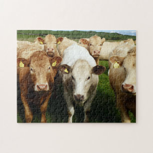 Puzzle de vaches Brown