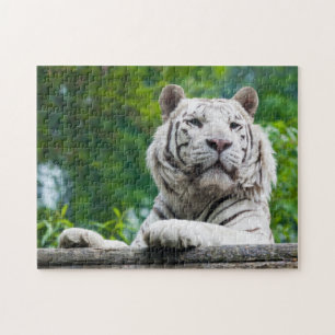 Puzzle de White Tiger