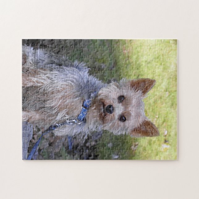 Puzzle de Yorkie (Horizontal)