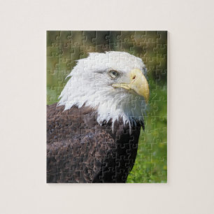 Puzzle d'Eagle