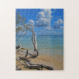 Puzzle Débris pour aveugler le passage