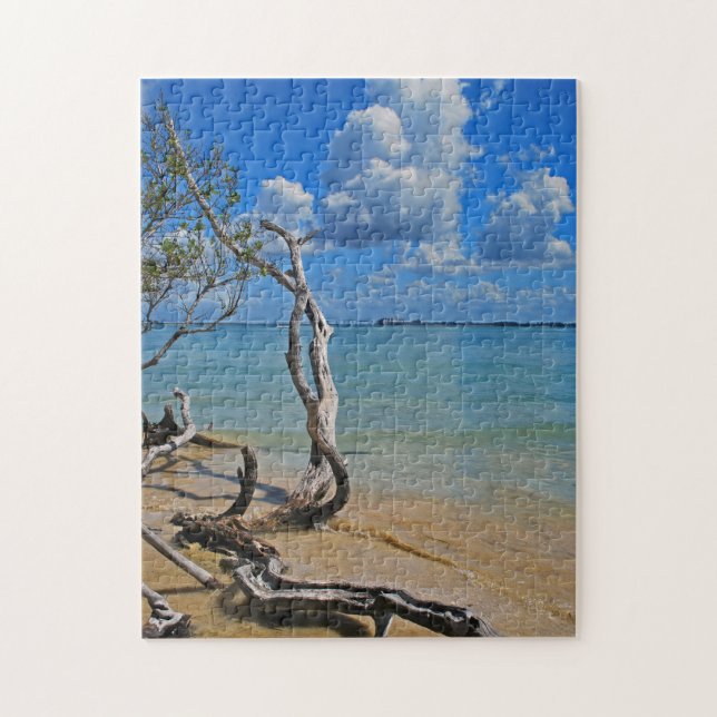 Puzzle Débris pour aveugler le passage (Vertical)