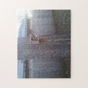 Puzzle d'écureuil : écureuil nourricier