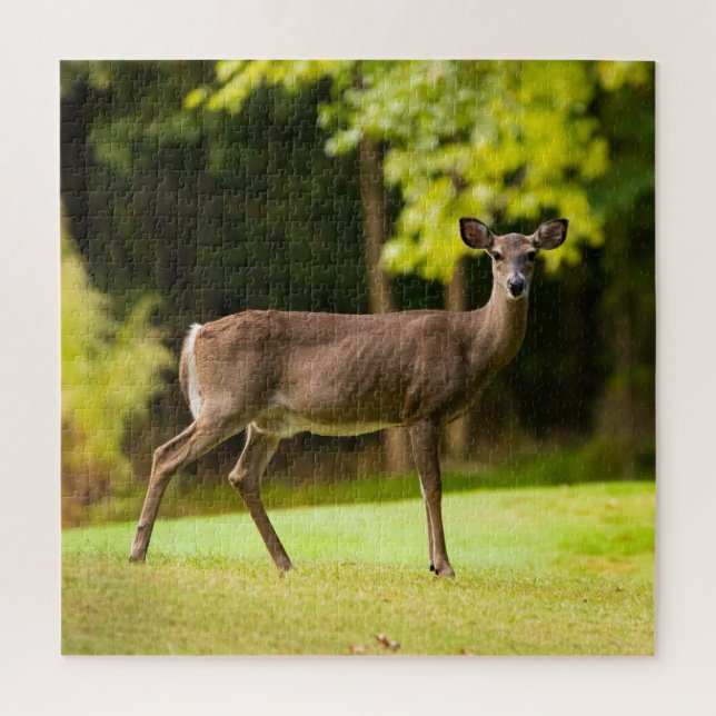 Puzzle Deer sur le terrain de golf (Vertical)