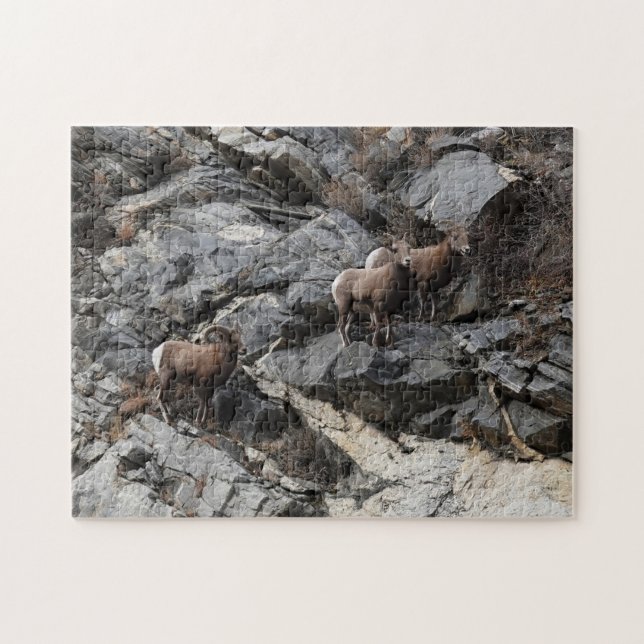 Puzzle Défi Bighorn Sheep Georgetown Colorado (Horizontal)