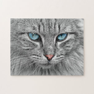 Puzzle Défi Tabby Gris Chat avec yeux bleus
