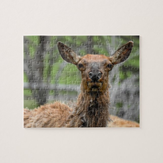Puzzle d'Elk américain (Horizontal)