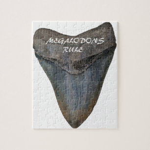 Puzzle Dent de requin de Megalodon