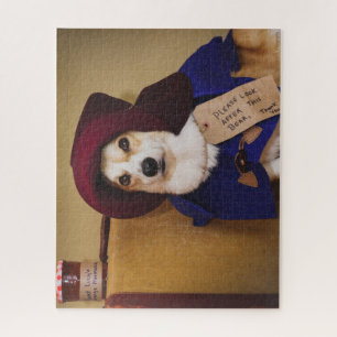 Puzzle denteux 500 de corgi de Paddington