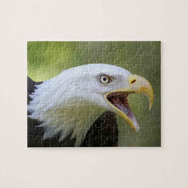 Puzzle denteux chauve d'Eagle (Horizontal)
