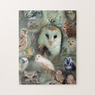 Puzzle denteux de hiboux heureux