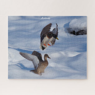 Puzzle Départs des Canards Colverts
