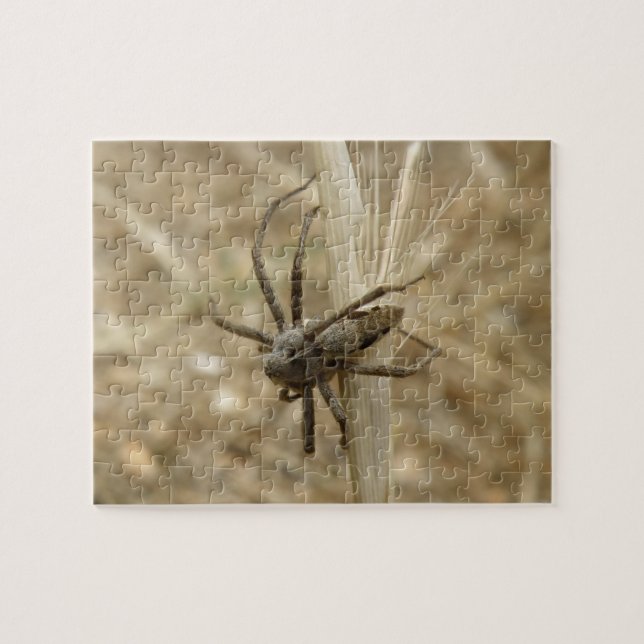 Puzzle déplaisant Crawly Spider (Horizontal)