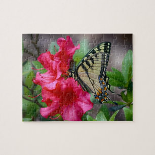 Puzzle Des Ailes De Merveilleuse