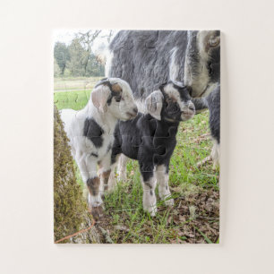 Puzzle des bébés chèvre facile