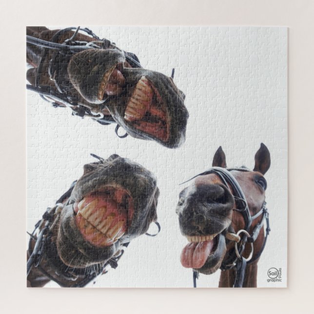 Puzzle Des chevaux dans la bouche. 3 chevaux souriant, hu (Vertical)