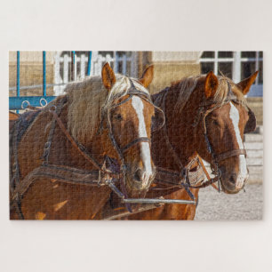 puzzle des chevaux de travail