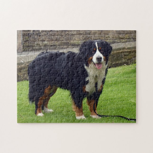 Puzzle des chiens de montagne bernois (Horizontal)