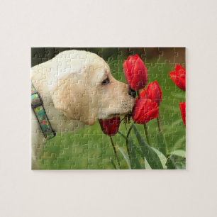 Puzzle des chiots du Labrador
